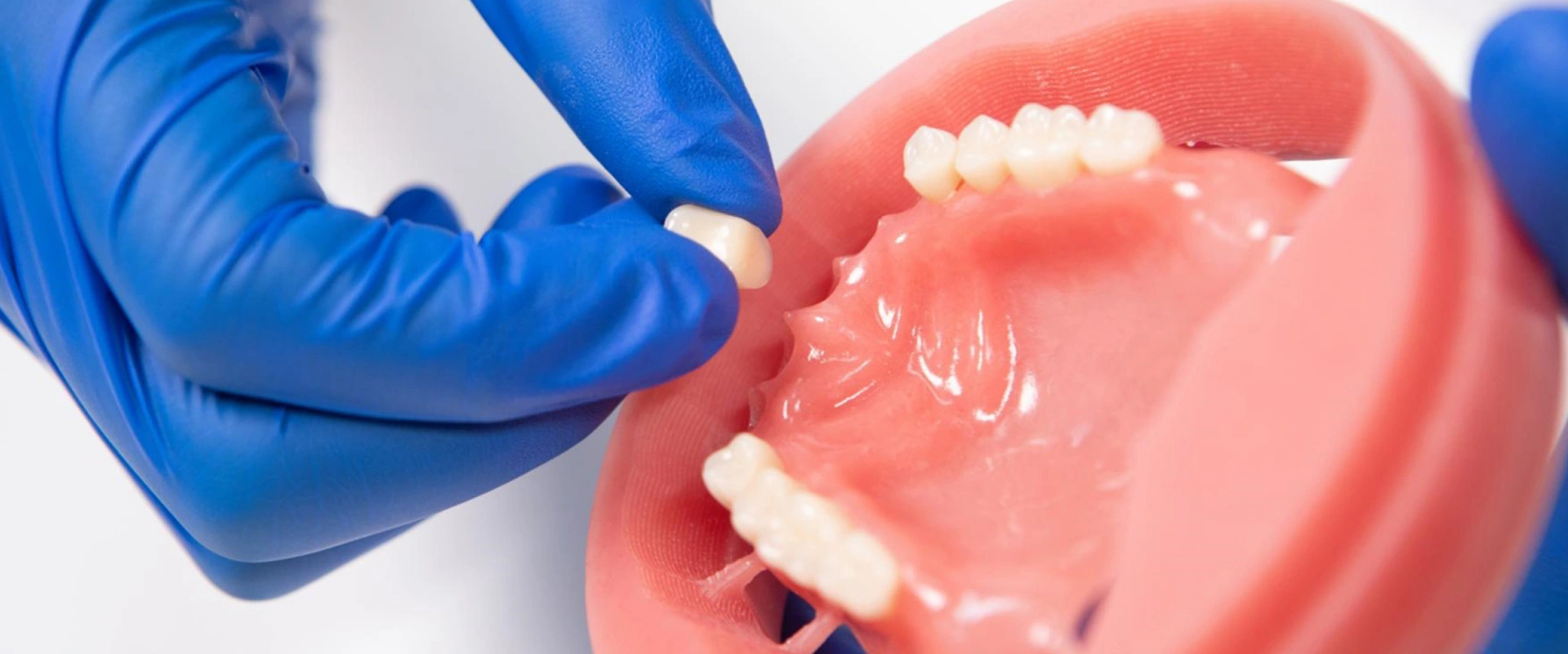 One-Stop Dental Solution